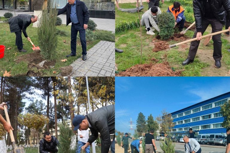 &laquo;Yashil makon&raquo; Temiryo’lchilar mamlakatimiz hududlarini obodonlashtirishda faol ishtirok etmoqda